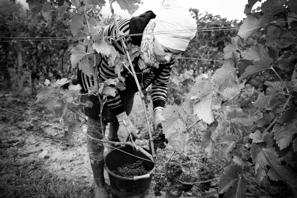 photographe domaine viticole Médoc spécialisée